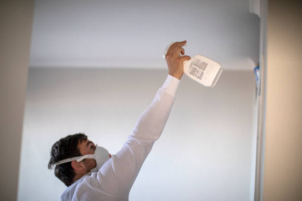 Best Mold Testing and Inspection Services in Cheyenne, WY