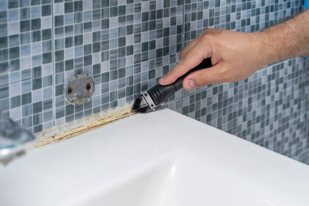 Best Basement Mold Remediation in Cheyenne, WY