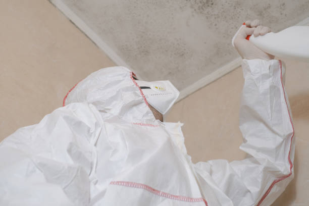 Best Commercial Mold Remediation in Cheyenne, WY